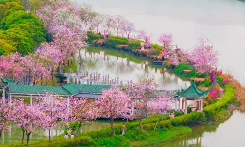 Haizhu National Wetland Park
